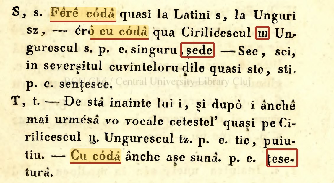 Csokotis 1819: explicarea literelor S și T, cu și fără coadă