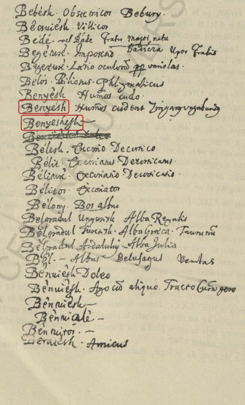 Dicționarul anonim de la Caransebeș, p. 16, facsimil Hasdeu 1891: Benyesh și Benyeshesk încadrate