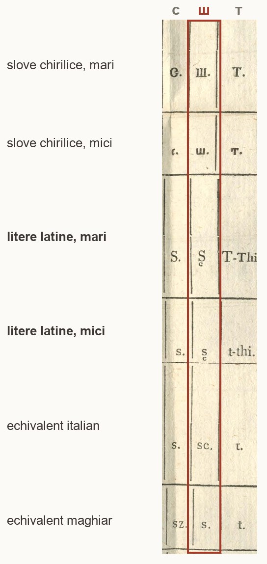 Coloana ш din tabela lui Șincai: Ш, ш, S cu semn, s cu semn, sc, s